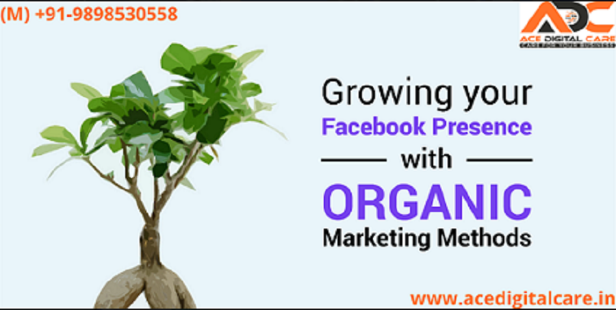 FB-Organic-Reach